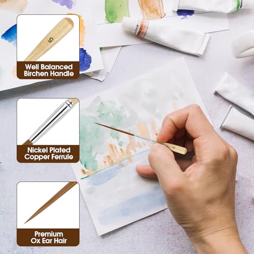 5Pcs Long Liner Brushes - Ox Ear Hair Detail Paint Brushes Extra Long Fine Point | Pinstriping, Scroll Outlining for Watercolor, Acrylic, Oil & Pro Artists