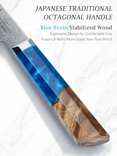 HOSHANHO Damascus Chef Knife 8 Inch, 67-Layer Damascus Super Steel Professional Kitchen Knife, Ultra Sharp Japanese Cooking Knives, Ergonomic Blue Resin Stabilized Wood Handle with Wood Gift Box - size: 8"