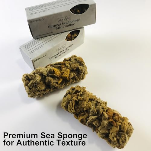 Natural Sea Sponge Mini Roller, 4 Inch - Art Paint Wall Texture Tool | Super Absorbent, Natural Texture | Ideal for Pros & DIY, Efficiently Creates Vivid Wall Patterns（MN488） - style: MN488