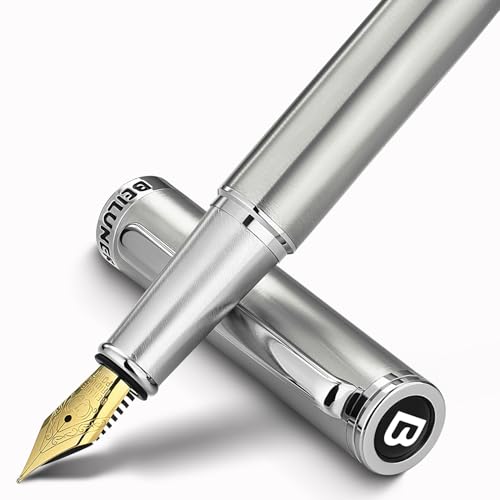 BEILUNER Luxury Fountain Pen Set, Solid 24K Gilded Fine Nib, Silver Stainless Steel Body- Includes 6 Ink Cartridges & Ink Refill Converter with Gift Case - Perfect for Men and Women - color: Silver, style: Fine Nib