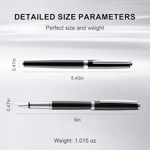 Fountain Pen Set,Extra Fine Nib,Includes 2 Ink Cartridges and Ink Converter, Ideal for Journaling and Calligraphy, Smooth-writing Fountain Pen(Silver) - color: Silver