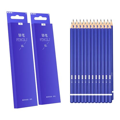 XDT#3B Drawing Pencils 24 Piece Set, Pro Art Graphite Sketching&Shading Supplies, Ideal For Kid Beginner Student Adults Artist - color: 3B 25 Pc Set