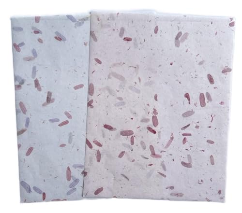 A4 Natural Banana bark, Leaves etc., Mulberry Paper Sheets Art Tissue Washi Paper Design Craft Art Origami Suppliers Card Making Writing Painting 50 Sheets (Mixed Leaves,Banana Bark, etc., A4) - color: Mixed Leaves,Banana Bark, etc., size: 8.3 X 11.7 Inch