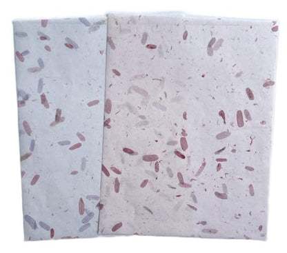 A4 Natural Banana bark, Leaves etc., Mulberry Paper Sheets Art Tissue Washi Paper Design Craft Art Origami Suppliers Card Making Writing Painting 50 Sheets (Mixed Leaves,Banana Bark, etc., A4) - color: Mixed Leaves,Banana Bark, etc., size: 8.3 X 11.7 Inch