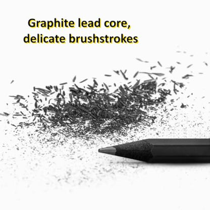 6Pcs Sketch Charcoal Pencils for Drawing Graphite Pencils Woodless Drawing Pencils for Sketching Shading Blending Artist Pencils for Beginners Artists Included HB 2B 4B 6B 8B EE