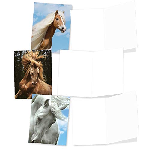 The Best Card Company - 10 Mixed Set Horse Note Cards Blank (4 x 5.12 Inch) - Wildlife, Animal Assorted Boxed Bulk Pack - Horses | Magnificent Manes M4601OCB-B1x10 - style: Magnificent Manes