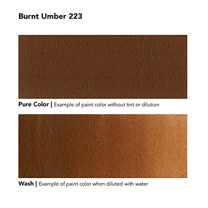 Daler-Rowney System3 Acrylic Ink Bottle Burnt Umber 29.5ml - Versatile Acrylic Ink for Artists and Students - Opaque Calligraphy Ink for Drawing Illustrating Airbrushing Dip Pen Ink and More