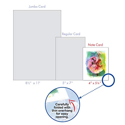The Best Card Company Animal Assorted Watercolor Blank Greeting Card Box Set - Incl. 10Unique Notecards Designs + Envelopes, Thank You, Invitations- Funky Rainbow Sloth AM6866OCB-B1x10 - style: Funky Rainbow Sloth