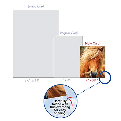 The Best Card Company - 10 Mixed Set Horse Note Cards Blank (4 x 5.12 Inch) - Wildlife, Animal Assorted Boxed Bulk Pack - Horses | Magnificent Manes M4601OCB-B1x10 - style: Magnificent Manes
