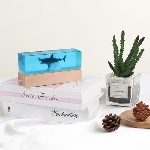 Large Resin Molds, Rectangle Silicone Molds for Epoxy Resin, 5 PCS Cuboid Resin Moulds with Wooden Support, Deep Casting Molds for Preserving Flowers, Insect Specimens, DIY Gifts, Furniture Decoration - size: Rectangle Resin Molds