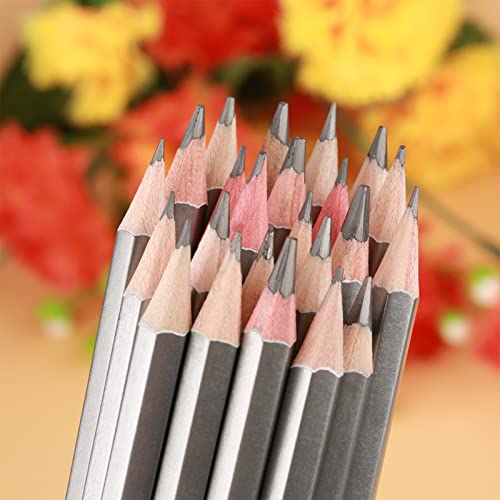 24Pcs Drawing Sketching Pencil Set 9H-14B Hardness, Wooden Art Graphite Pencil Set, Shading Painting Tool 6.9in x 0.3in, for Artist Beginners Sketching