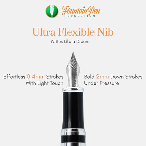 FPR Ambassador Ultra Flex Nib Fountain Pen Set, Black - Refillable Pen w/Cartridges & Converter - Calligraphy Pens for Writing, Journaling & Gifting - Luxury Pens For Smooth Strokes - color: Black