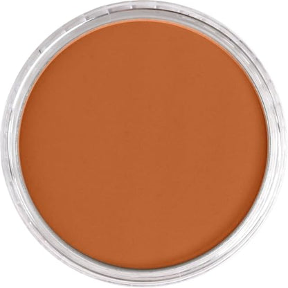 PanPastel Artist Pastels by GOLDEN, Burnt Sienna, 2.44” / 62mm Pan Diameter, Professional Artist Pastels, Unique Pan Format (cake-like) - color: Burnt Sienna, size: 1 Count (Pack of 1)