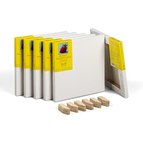 Strathmore 300 Series Traditional Stretched Canvas Pack, 12x12 inch, 6 Pack, Art Canvas for Students Professionals - size: 12x12 inch, style: Traditional Profile