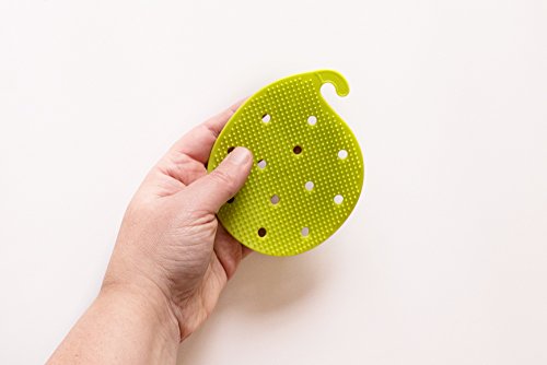 Vegetable Scrubber Brush : Double Sided Fruit and Vegetable Scrubber - Multi Use: Potato Scrubber - Carrot Brush - Trivet - Jar Opener by Cestari Kitchen - color: Green