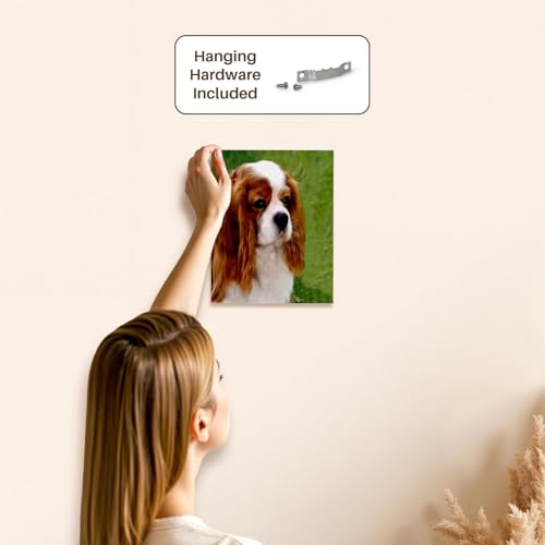 3dRose Cavalier King Charles Spaniels Museum Grade Canvas Wrap 8x10 - size: 8"L x 10"W
