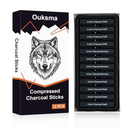 Compressed Charcoal Sticks Set, 12 Pack Soft Medium Hard Charcoal for Drawing, Sketching and Shading, Drawing Sticks Set for Artists, Sketching Supplies and Art Supplies