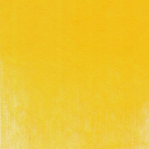 PanPastel Artist Pastels by GOLDEN, Diarylide Yellow, 2.44” / 62mm Pan Diameter, Professional Artist Pastels, Unique Pan Format (cake-like) - color: Diarylide Yellow, size: 1 Count (Pack of 1)