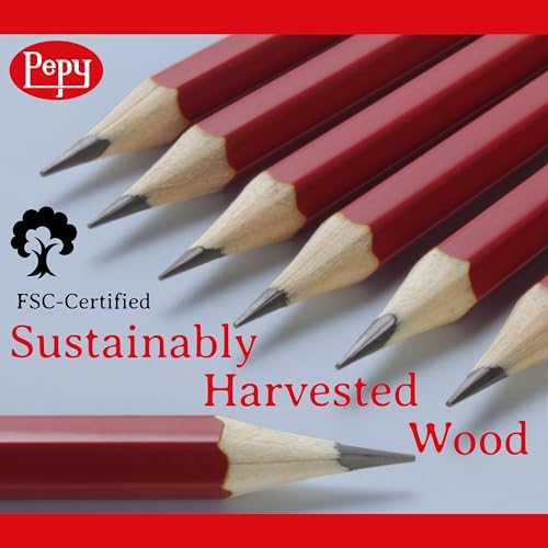 Pepy Graphite Professional Drawing Pencils - Set of 12 9B Pre-Sharpened Black Lead Pencils; Perfect for Drawing, Sketching and Shading, Graphic and Fine Art - style: Set of 12 - 9B