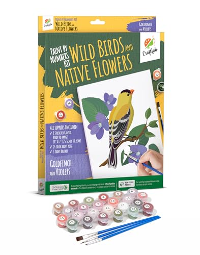 CraftLab Wild Birds Paint by Numbers Kit for Adults Teens Beginners, DIY Painting Accessories, Brushes Acrylic Paints, Stretched Canvas 10 x 12 inch Gift (Goldfinch & Violets) - color: Goldfinch & Violets