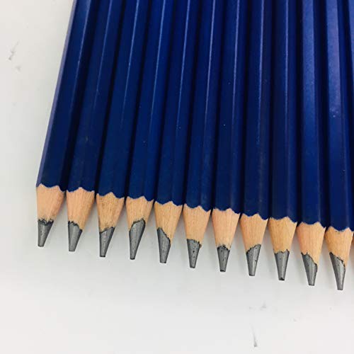 XDT#7B Drawing Pencils 24 Piece Set, Pro Art Graphite Sketching&Shading Supplies, Ideal For Kid Beginner Student Adults Artist - color: Blue