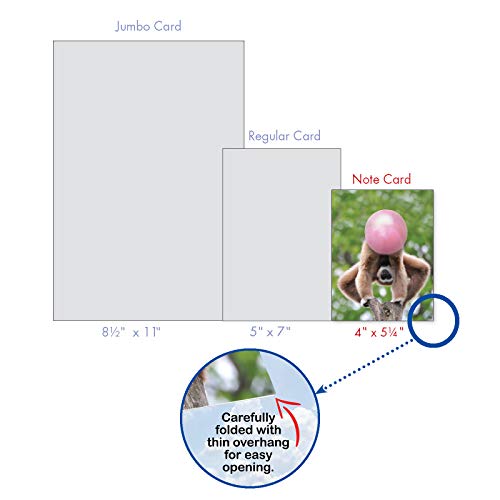 The Best Card Company - 10 Adorable Note Cards Blank (4 x 5.12 Inch) - Wildlife and Animal Cards, Assorted Boxed Set - Balloon Animals AM6837OCB-B1x10 - style: Balloon Animals