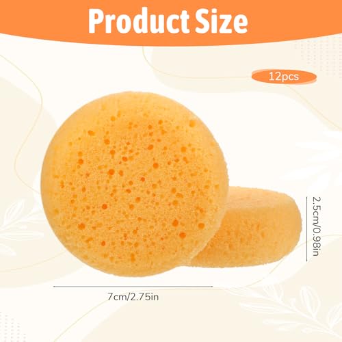 12 PCS Round Artist Craft Sponges Pottery Sponges for Clay | Painting Sponge Shoe Polish Sponge for Pottery, Watercolor, Ceramics, Face Painting, Household Cleaning and Leather Care