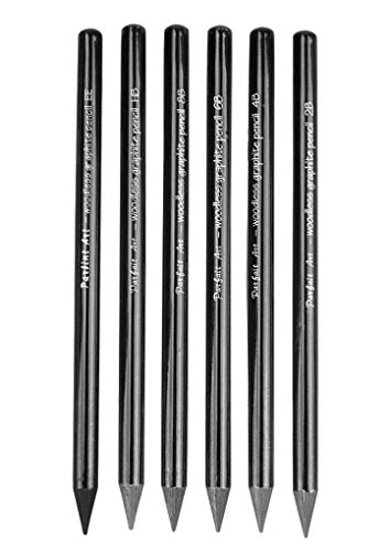 Woodless Pencil Set 6 Pcs Black Graphite Pencil Set Art Supplies Non-Wood Artist Pencil Charcoal Sticks Artist Beginner Sketch Tool Dawing Supplies for Sketch & Shading Pencils,HB 2B 4B 6B 8B EE