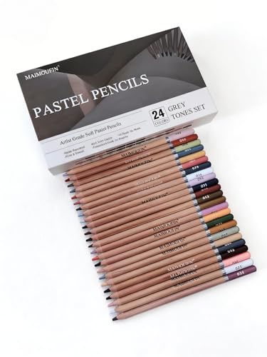Soft Pastel Pencils 24 Colors Grey Tone Drawing Pencil Set Professional Grade Pastels Art Supplies for Drawing Sketching Coloring(Not Oil-Based) (Grey) - color: Grey