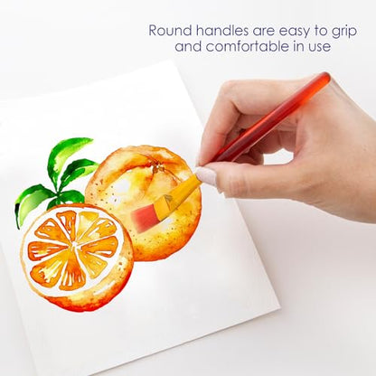BAZIC Products Translucent Handle Paint Brush Set, 5 Ct, 144-Case | assorted tips for painting, crafts, classroom art