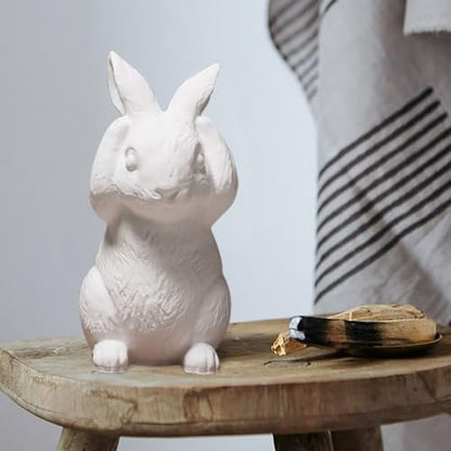 Both Hands Covering Ears Rabbit Easter Silicone Molds for Crafts 3D Bunny Silicone Mold Epoxy Resin Molds Cute Easter Bunny Mold Kawaii Animal Rabbit Soap Candle Molds for Living Room Home Decor