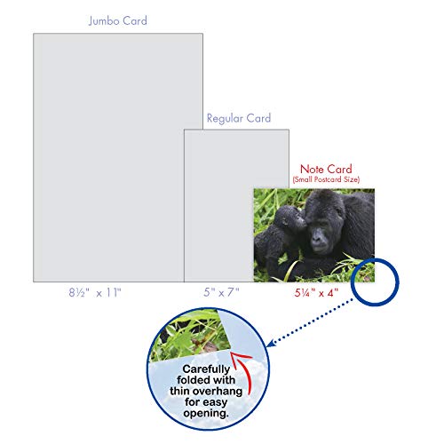 The Best Card Company - 10 Adorable Note Cards Blank (4 x 5.12 Inch) - Wildlife and Animal, Assorted Boxed Set - Animal Smackers M6594OCB - style: Animal Smackers