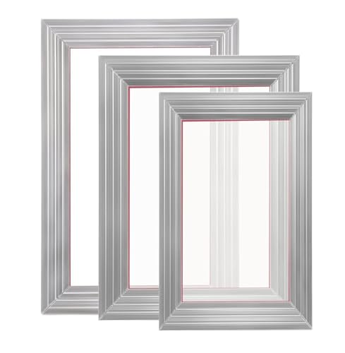 Screen Printing Kit, 3 Aluminum Frames, 5 Glitter Colors, Squeegee & Films for DIY T-Shirts - 6x10, 8x12, 10x14 inch 110 Mesh
