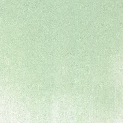 PanPastel Artist Pastels by GOLDEN, Chromium Oxide Green Tint, 2.44” / 62mm Pan Diameter, Professional Artist Pastels, Unique Pan Format (cake-like) - color: Chromium Oxide Green Tint, size: 1 Count (Pack of 1)