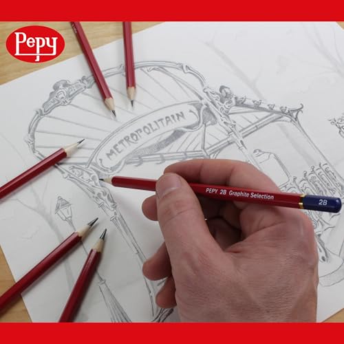 Pepy Graphite Professional Drawing Pencils - Set of 12 F Pre-Sharpened Black Lead Pencils; Perfect for Drawing, Sketching and Shading, Graphic and Fine Art - style: Set of 12 - F