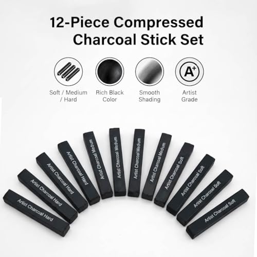 Compressed Charcoal Sticks Set, 12 Pack Soft Medium Hard Charcoal for Drawing, Sketching and Shading, Drawing Sticks Set for Artists, Sketching Supplies and Art Supplies
