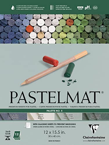 Clairefontaine Pastelmat Glued Pad - Palette No. 5 - (12 x 15 3/4 Inches) 30 x 40 cm - 360g - 12 Sheets - Dark Green, Light Green, White, Dark Blue - color: Dark Green, Light Green, White, Dark Blue, size: 30 x 40 CM