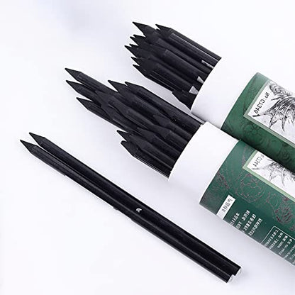 Artist Charcoal Sticks 24 PCS Professional Manga Sketch Drawing Charcoal Pencil Black/Pencil drawing sketch pencil without wood (Whole Lead Core 4B)