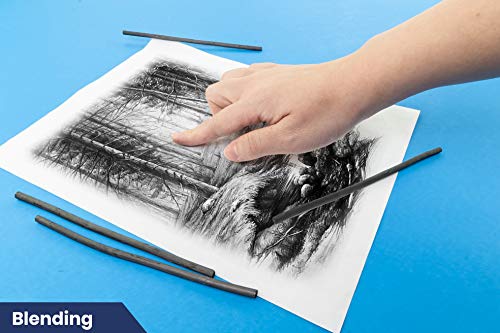 Pacific Arc Artist Vine Charcoal, Medium, Black 12 Pieces, Artist Vine Charcoal Sticks, Medium and Smooth Drawing Charcoal - style: Medium | 12 Sticks
