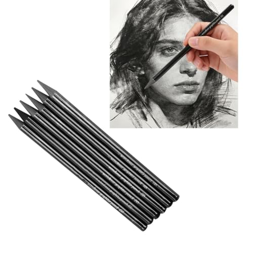 6Pcs Sketch Charcoal Pencils for Drawing Graphite Pencils Woodless Drawing Pencils for Sketching Shading Blending Artist Pencils for Beginners Artists Included HB 2B 4B 6B 8B EE