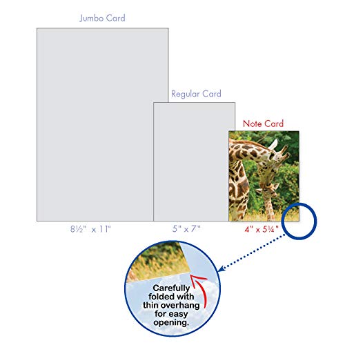 The Best Card Company - 10 Adorable Note Cards Blank (4 x 5.12 Inch) - Wildlife and Animal Cards, Assorted Boxed Set - Kissing Giraffes AM6843OCB-B1x10 - style: Kissing Giraffes