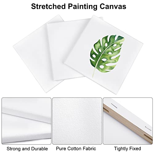 Aodaer 12 Pieces Stretched Canvas for Painting 6 Inch Blank Canvas Panels Triangle Square Hexagon Round Shape Canvases Boards Art Supplies for Acrylic Pouring Oil Painting - size: 6 Inch