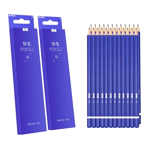 XDT#2B Drawing Pencils 24 Piece Set, Pro Art Graphite Sketching&Shading Supplies, Ideal For Kid Beginner Student Adults Artist - color: 2B 27 Pc Set