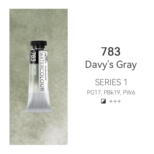 PHOENIX Professional Watercolor Paint Single Tube - 0.47 Fl Oz / 14ml - Davy's Gray - color: Davy's Gray, size: 0.47 Fl Oz (Pack of 1)
