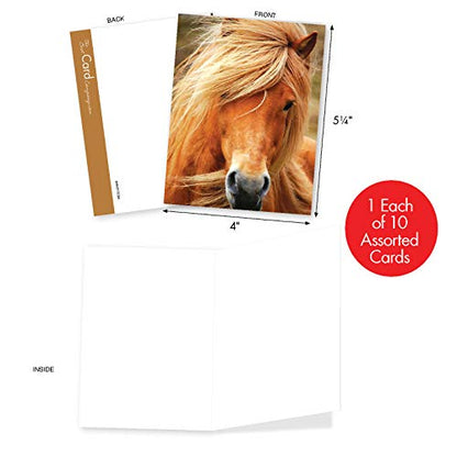The Best Card Company - 10 Mixed Set Horse Note Cards Blank (4 x 5.12 Inch) - Wildlife, Animal Assorted Boxed Bulk Pack - Horses | Magnificent Manes M4601OCB-B1x10 - style: Magnificent Manes