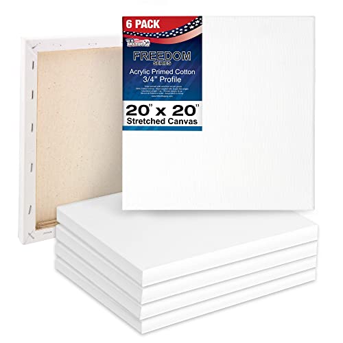 U.S. Art Supply 20 x 20 inch Stretched Canvas 12-Ounce Triple Primed, 6-Pack - Professional Artist Quality White Blank 3/4" Profile, 100% Cotton, Heavy-Weight Gesso - Acrylic Pouring, Oil Painting - size: 20" x 20"