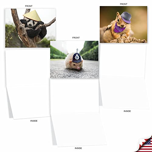 The Best Card Company - 10 Adorable Note Cards Blank (4 x 5.12 Inch) - Wildlife and Animal, Assorted Boxed Set - Capped Creatures M6470OCB - style: Capped Creatures