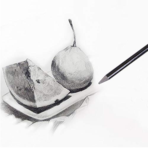 6pcs Woodless Sketch Charcoal Pencils Set - Professional 2H 2B 4B 8B 6B HB Charcoal Graphite Pencils for Drawing Sketching Shading Art Supplies for Artists Beginners - color: 6pcs