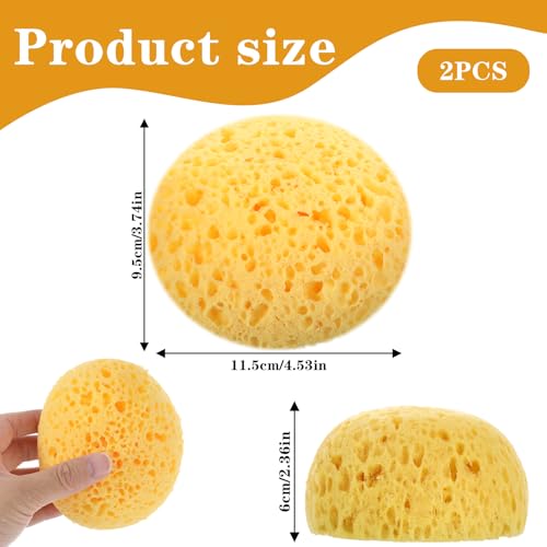 Mabor 2Pcs Texture Sponges, Sponge for Patch/Repair Ceiling Drywall Wall | Round Clay Sponges for Pottery, DIY Painting Ceiling Wall Texture