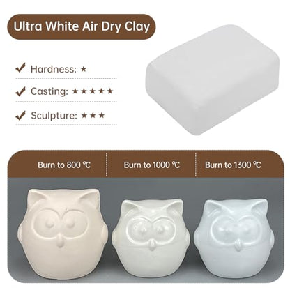 Sculpting Clay, Modeling Clay, 5.5lbs Natural Air Dry Clay Kit with Pottery Sculpting Tool Set, Pottery Clay for Adult - Bright White - color: Bright White